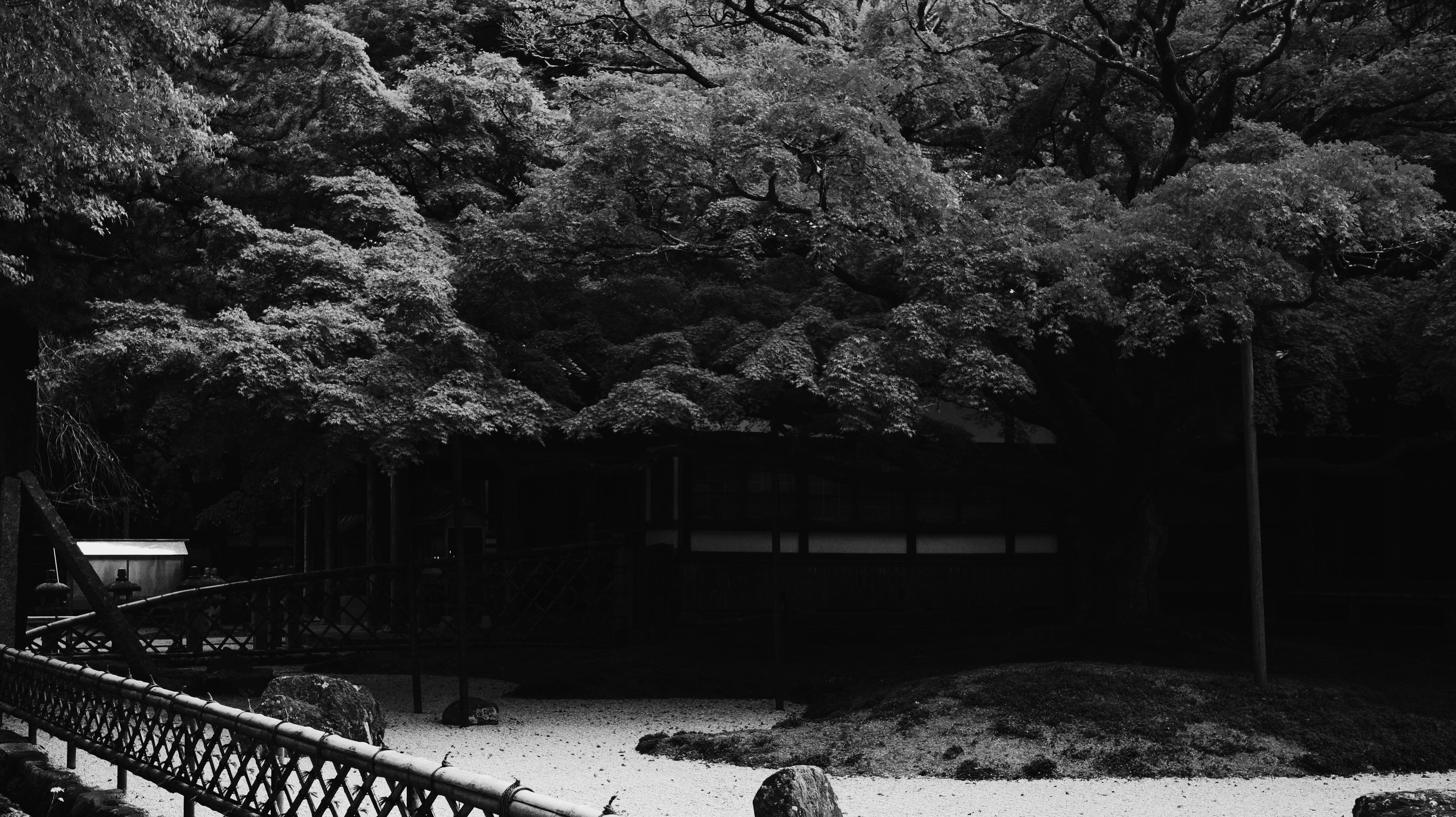 Raizan Sennyoji Daihioin Temple: Fukuoka's Ancient Temple with a 400-Year-Old Maple Tree