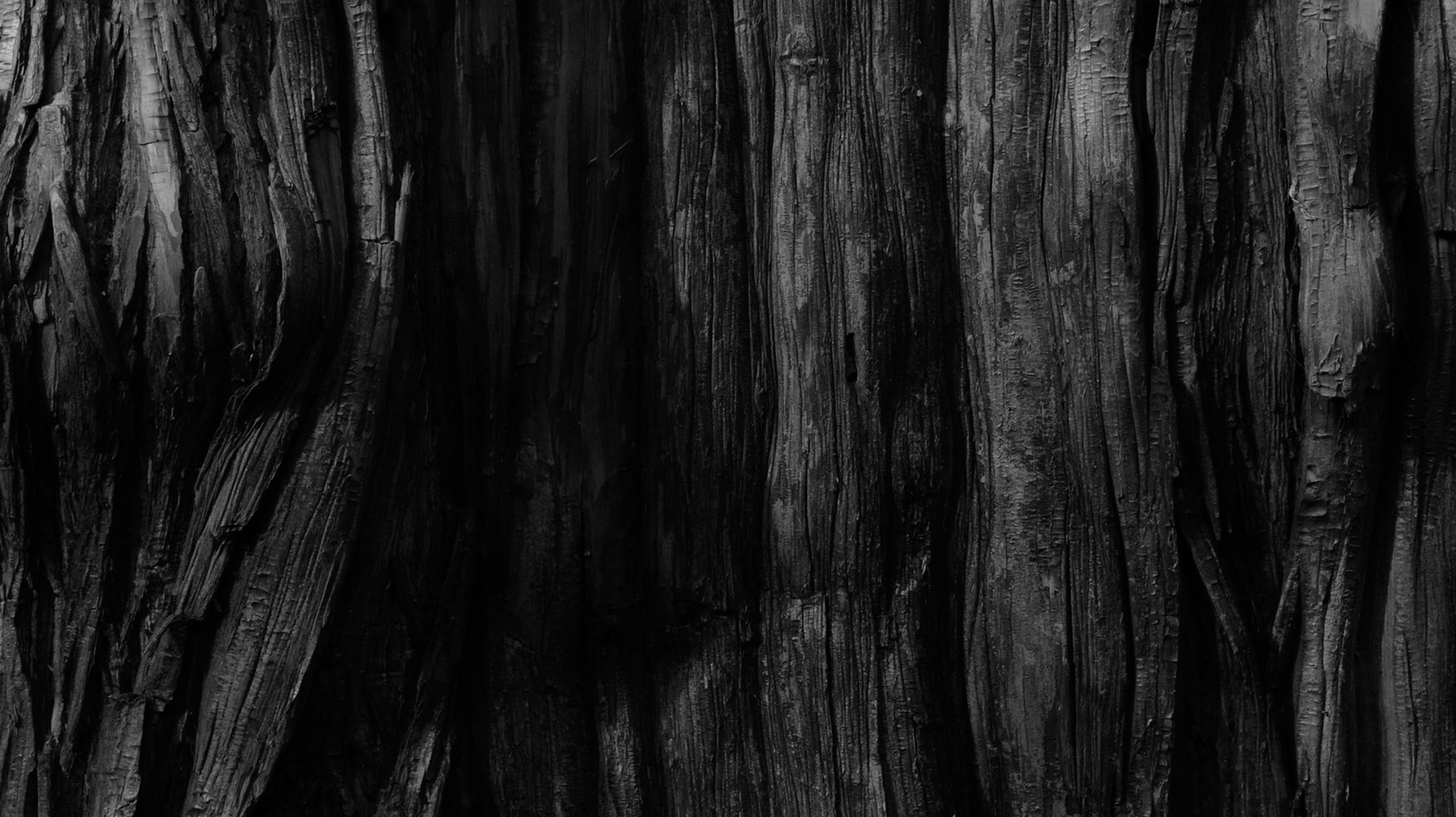 What Is Tezawari? Why Texture Is the Soul of Japanese Aesthetics - dans le gris