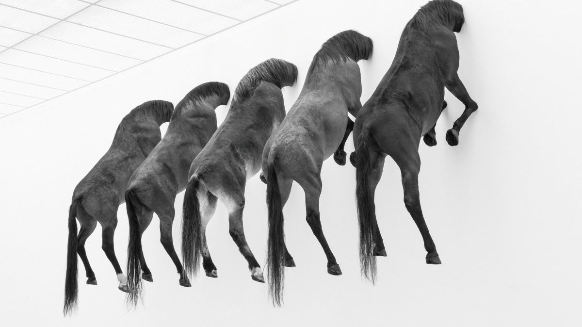 3 Main Differences Between Modern Art & Contemporary Art - dans le gris