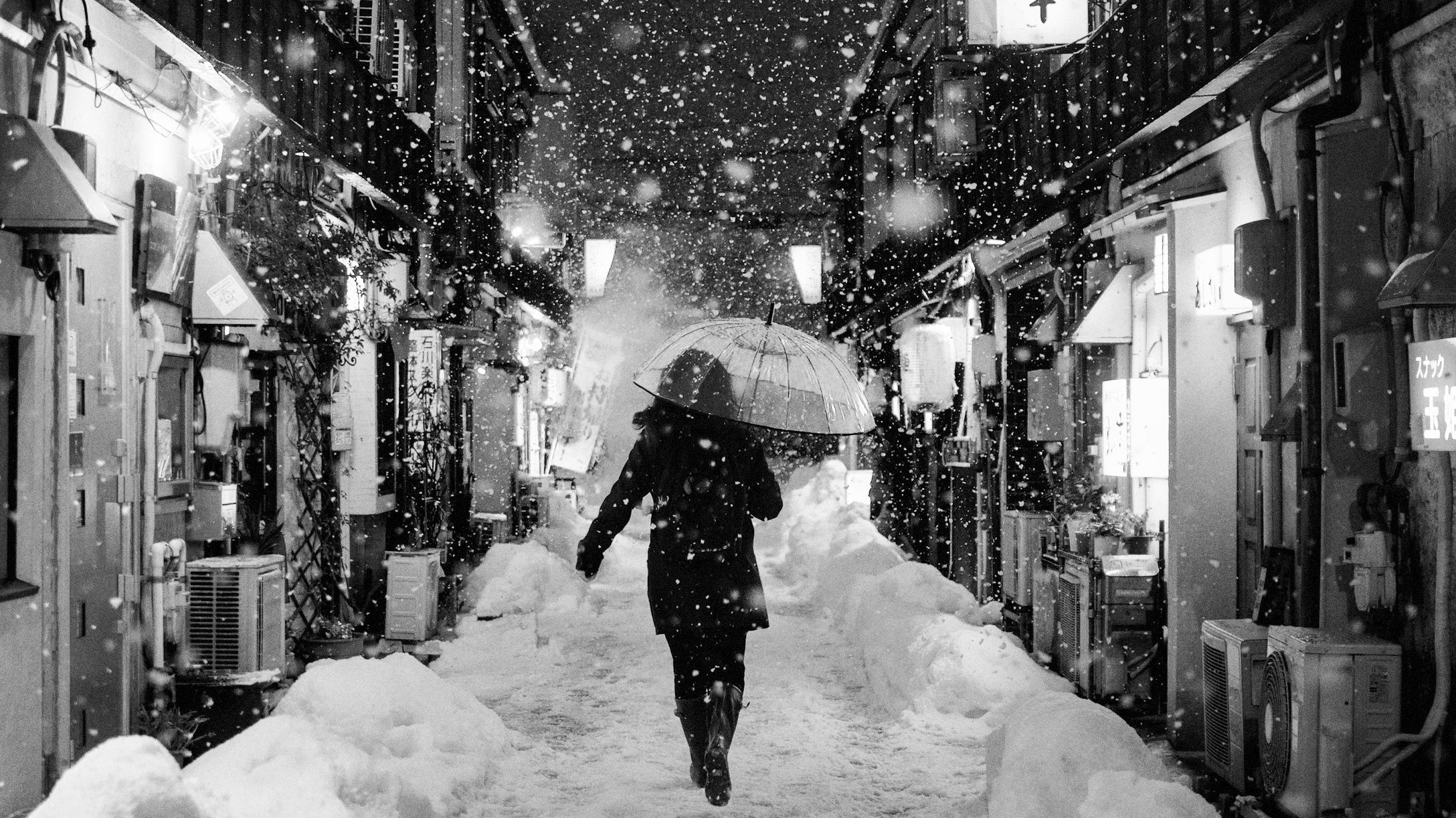 What Is Mono no Aware? The Japanese Art of Embracing Impermanence - dans le gris
