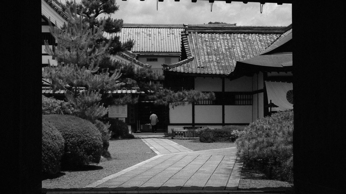 Kyoto City Guide | Daikaku-ji Temple - dans le gris