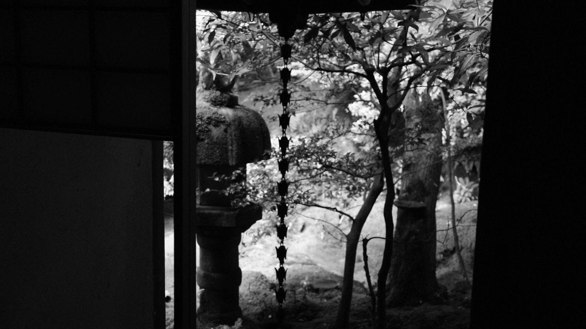 Kyoto City Guide | The Green Beauty of Rurikoin Temple in Early Summer - dans le gris