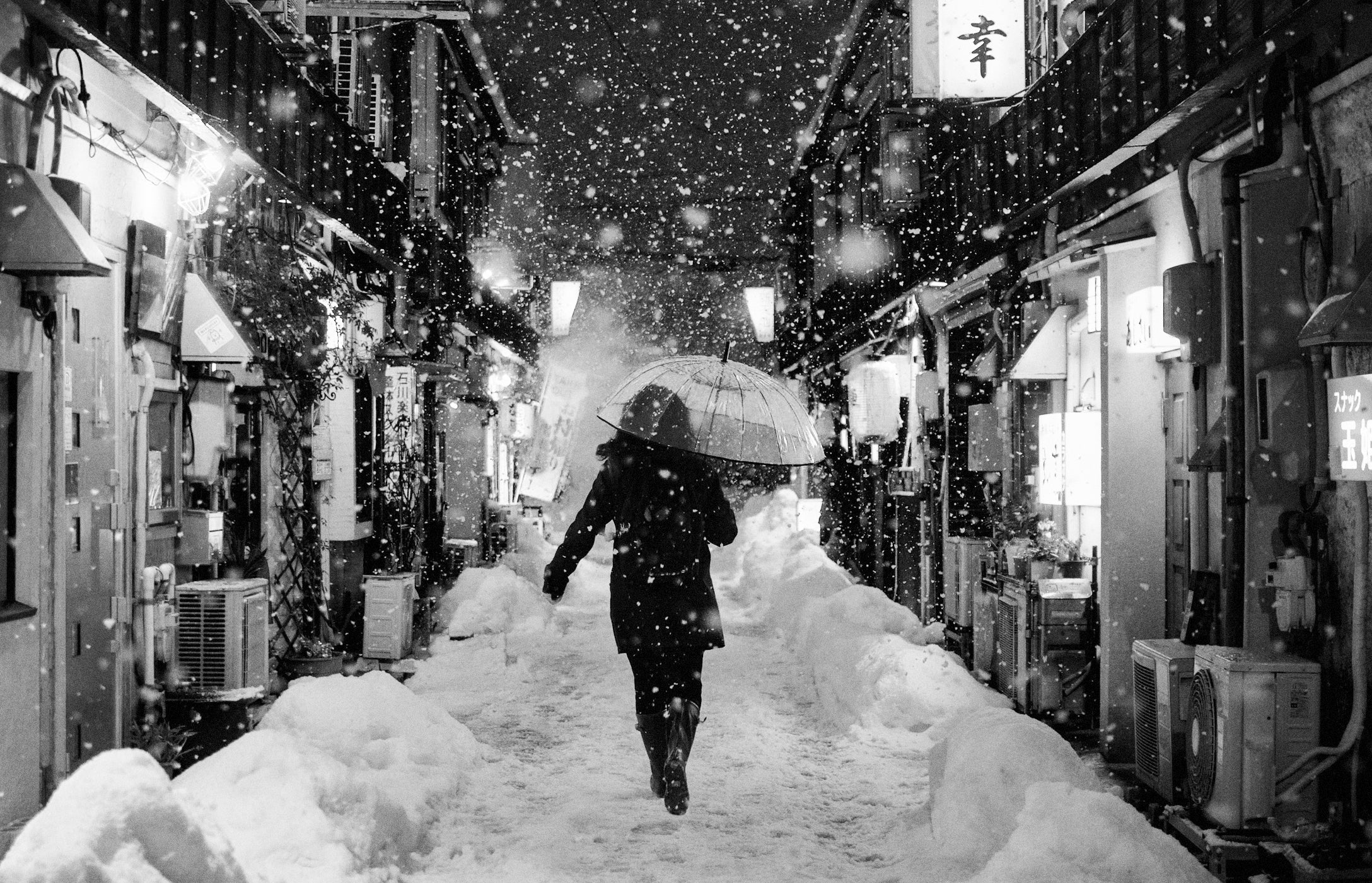 What Is Mono no Aware? The Japanese Art of Embracing Impermanence - dans le gris