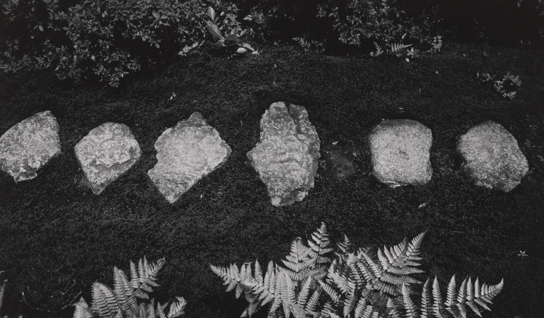 ロバート・メイプルソープの花の写真 – dans le gris