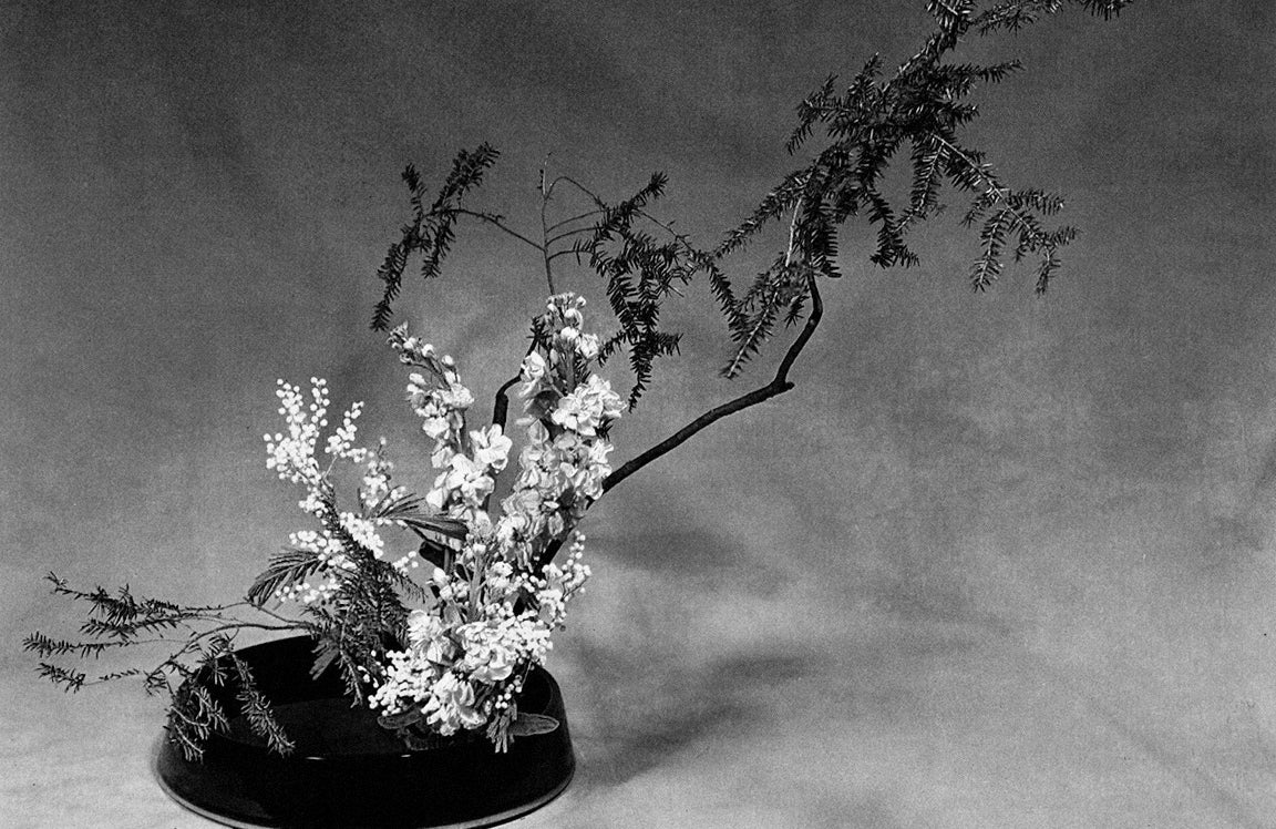 7 Essential Ikebana Principles for Understanding Japanese Art of Flower Arrangement - dans le gris